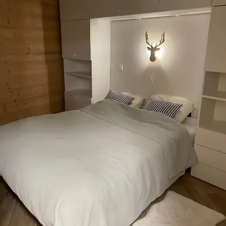 Apartment Cremaillere A101 - Multipass Inclu Chatel